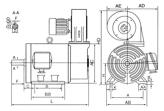 YLJ JLJ Three-phase Induction Motors