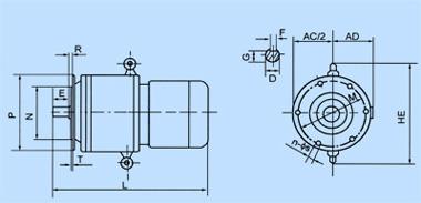 YCT Motor